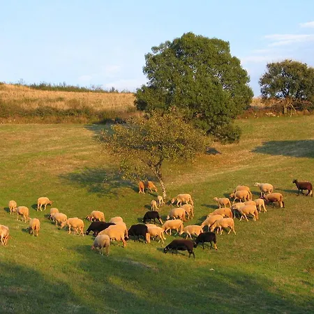 Hétvégi ház Casa Da Bica Gondesende Bragança