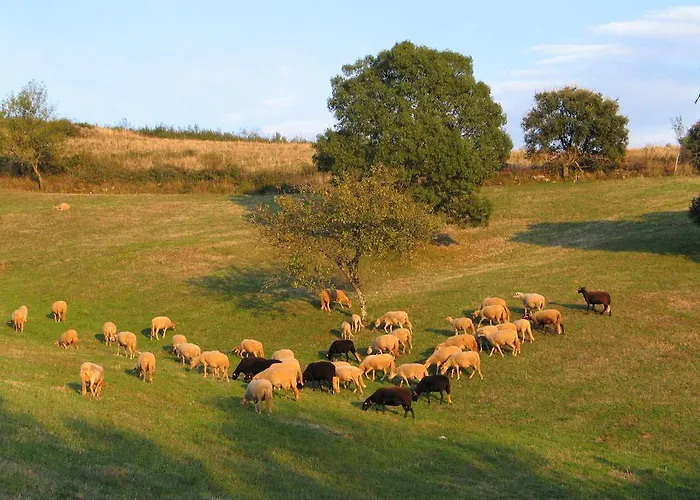 Gospodarstwo wiejskie Casa Da Bica Gondesende Bragança